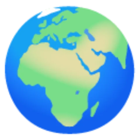 🌍
