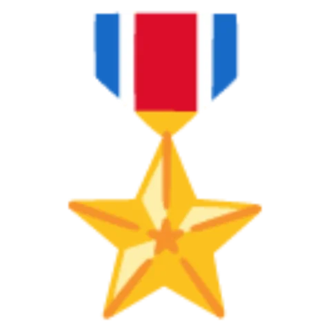 🎖