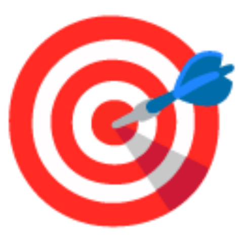 🎯